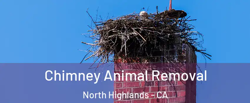 Chimney Animal Removal North Highlands - CA
