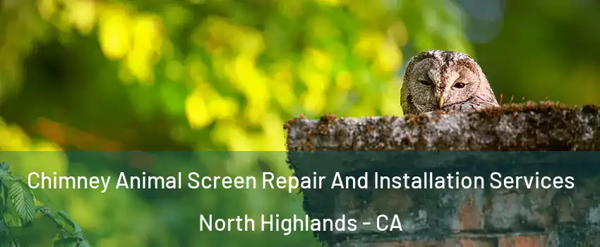  Chimney Animal Screen Repair And Installation Services North Highlands - CA
