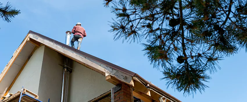 Birds Removal Contractors from Chimney in North Highlands, CA