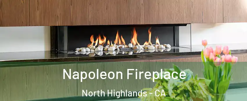  Napoleon Fireplace North Highlands - CA